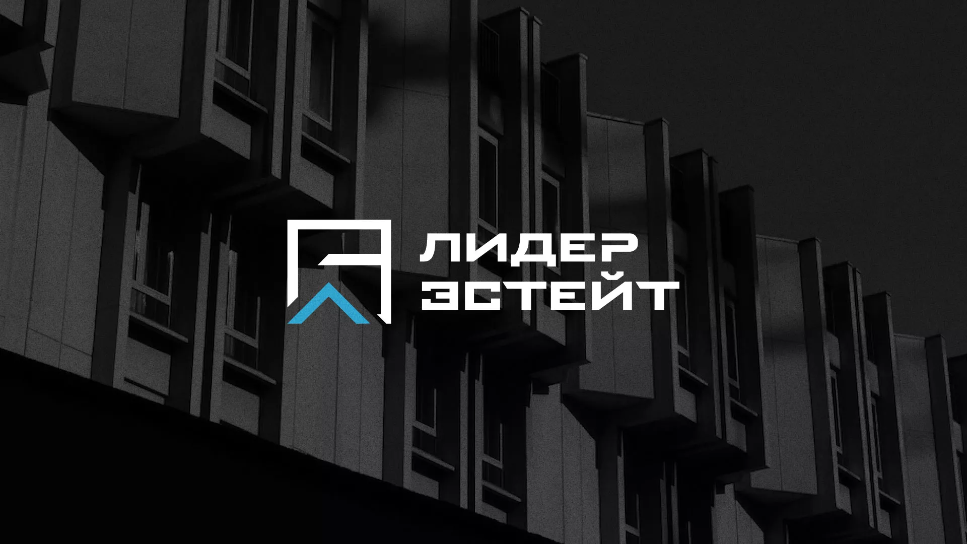 Разработка логотипа агентства недвижимости «Лидер Эстейт» в Изобильном